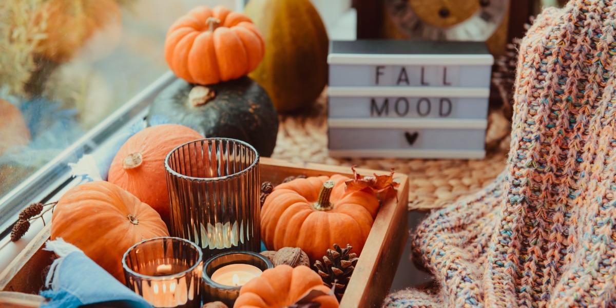 CONSEILS DECO AUTOMNE